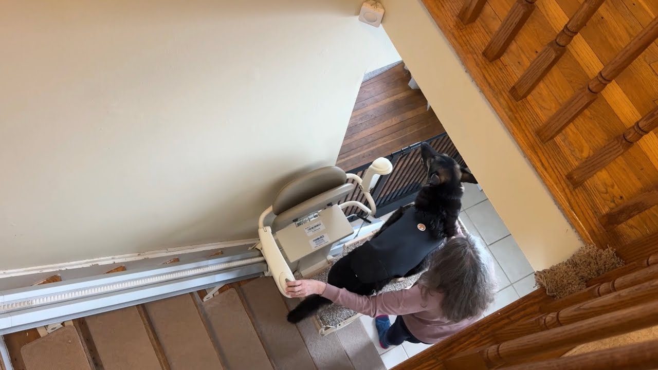 Update: 10 Years Old Kara - stairlift - chair lift for our big dog - German Shepherd