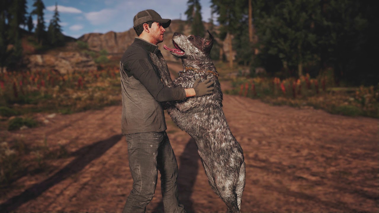 Комментарии [Бумер] | Far Cry 5