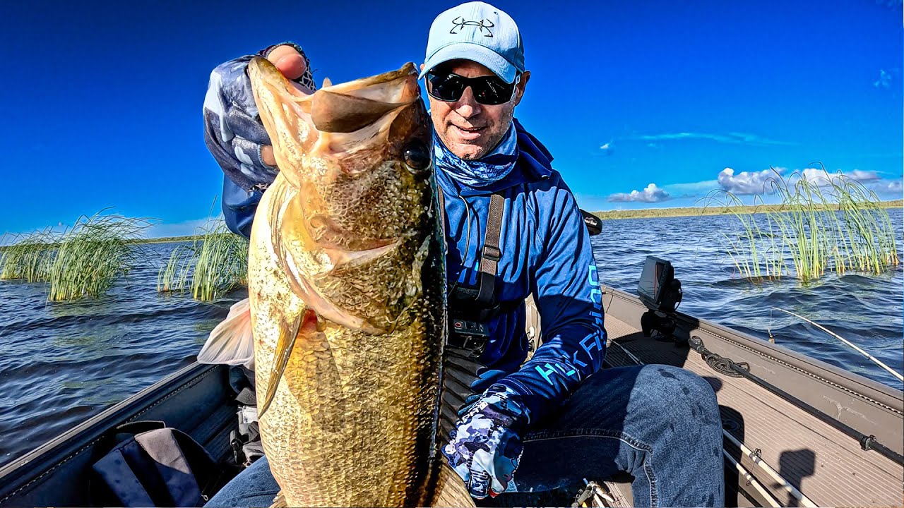 Bass Fishing at Farm 13/Stick Marsh: One Year After the Drawdown & Habitat Rebuild!