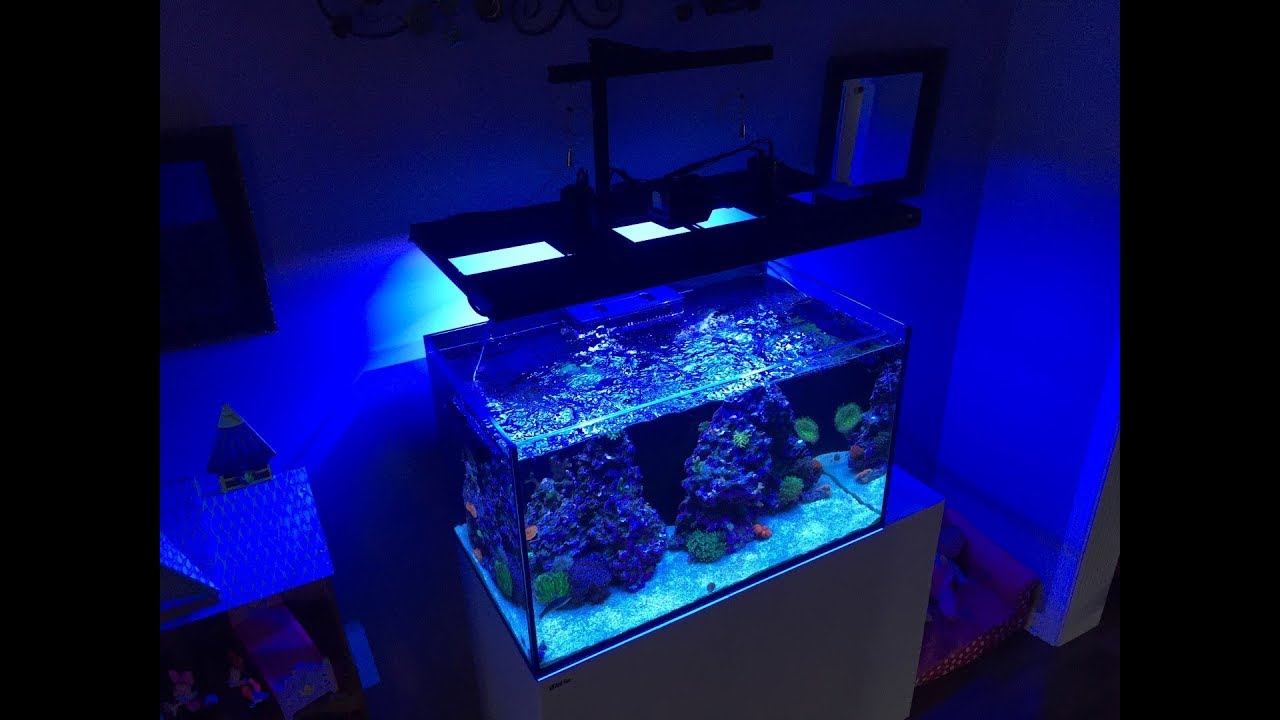 Red Sea Reefer 250 | Advance Gyre Settings - Gyre 230 | Reef Tank Flow | How I Do it!