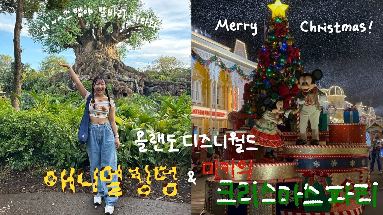 🇺🇸Hakuna Matata! 올랜도 디즈니월드 1일차 - 애니멀킹덤, 미키의 메리 크리스마스파티