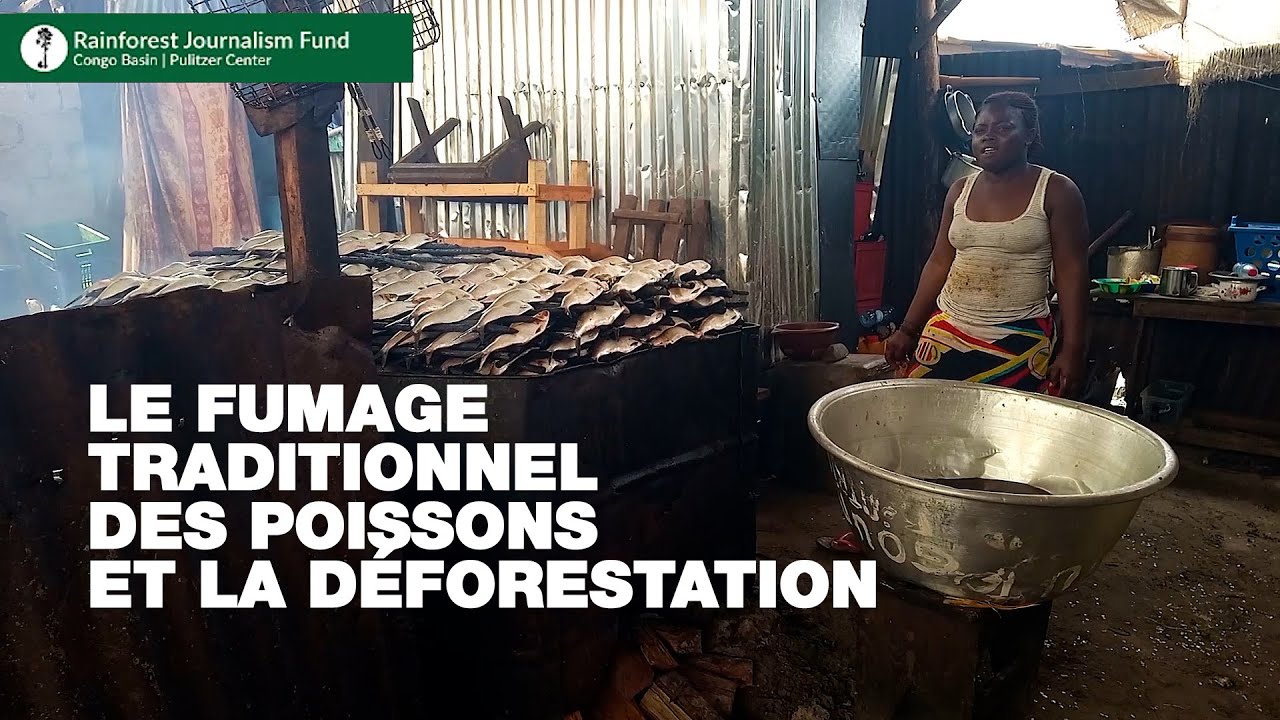Le fumage traditionnel des poissons et la déforestation