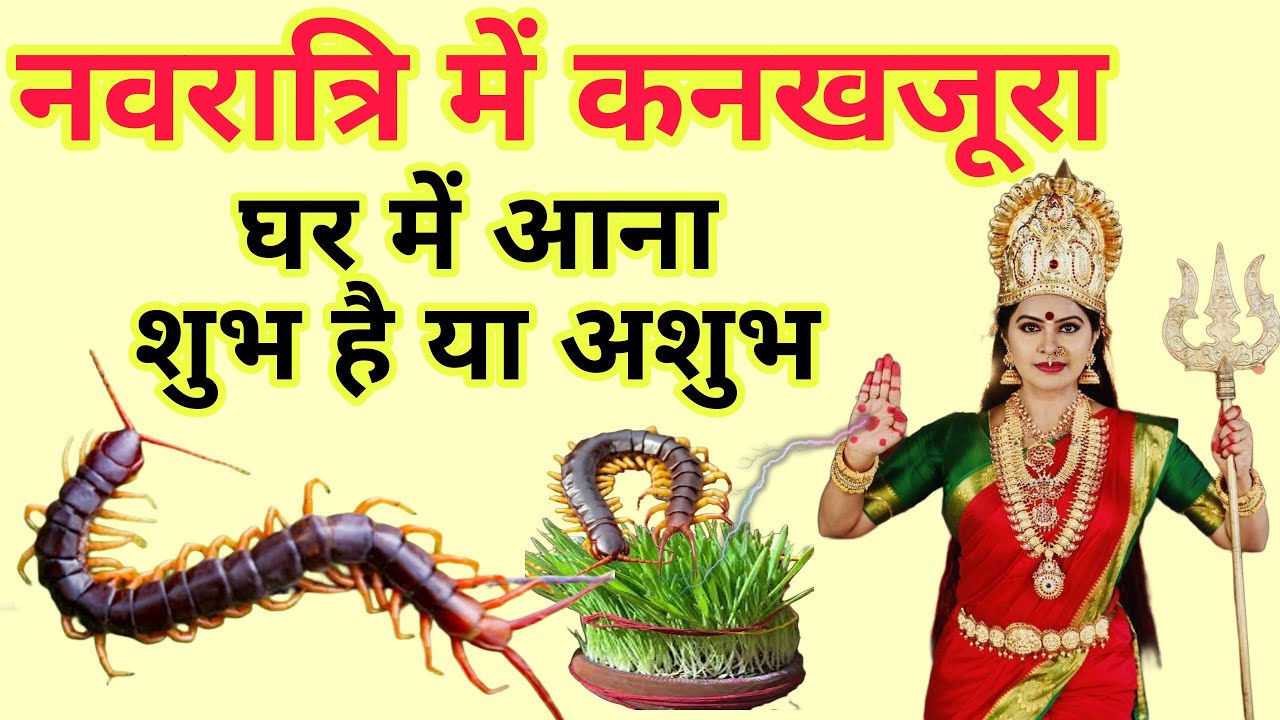 नवरात्रि में 😱अगर घर में निकल आए कनखजूरा तो हो जाएं सावधान यह उपाय आपको बना देगा महाधनी Kankhajura
