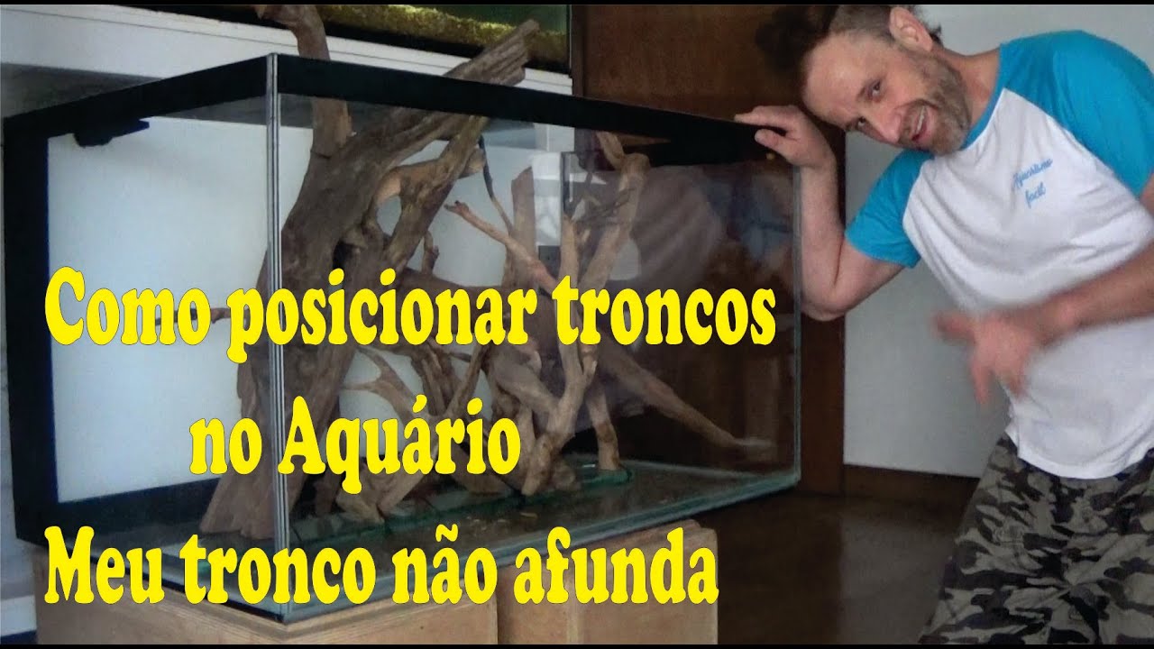 Como posicionar troncos no Aquário - Meu tronco não afunda