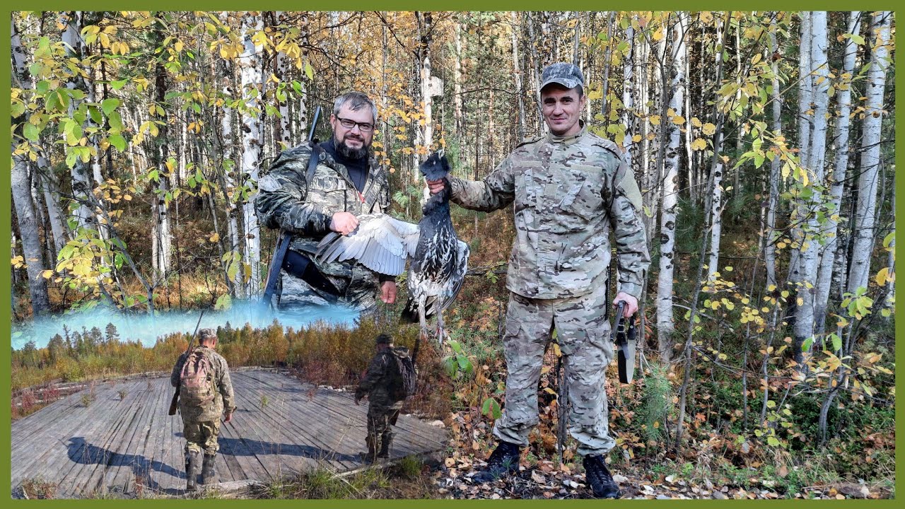 Охота на глухаря. Нашли вертолётную площадку в тайге. ХМАО.