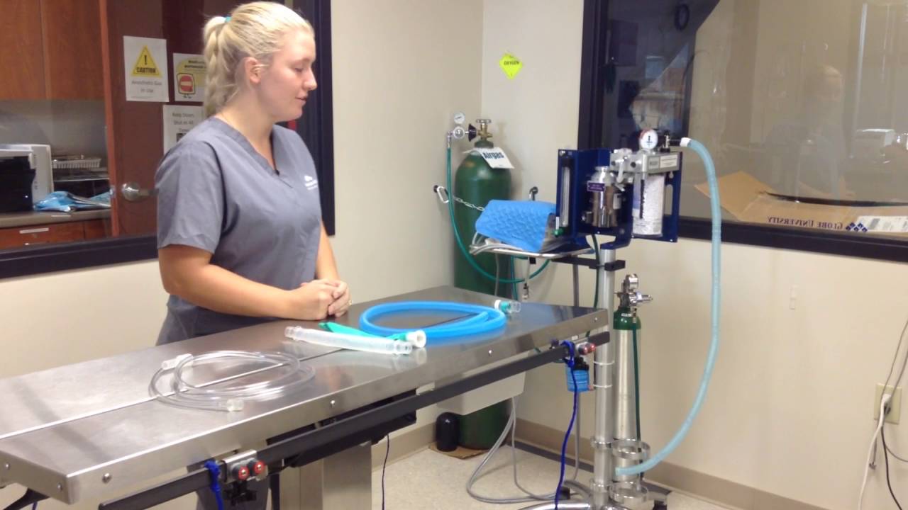 How to preform a Leak Check on a Non-Rebreathing System - Julie Ericson