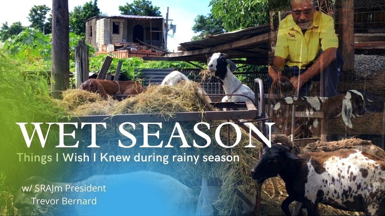 THE EFFECTS OF THE RAINY SEASON || w/ Mr. Ricky Clarke & Mr. Bernard- President SRAJM