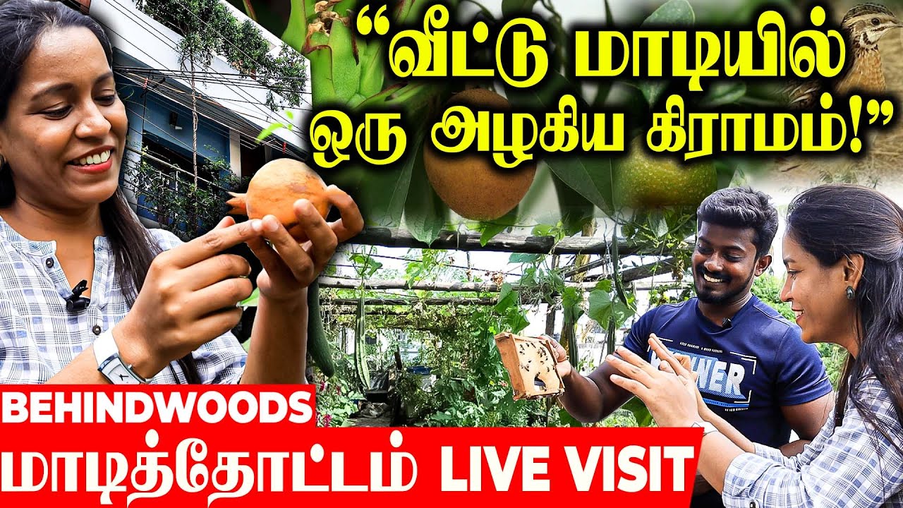 ஒட்டுமொத்த காய்கறி MARKET... ஒரே மாடில..! அசரவைக்கும் அறுவடை..! மாடித்தோட்டம் LIVE VISIT