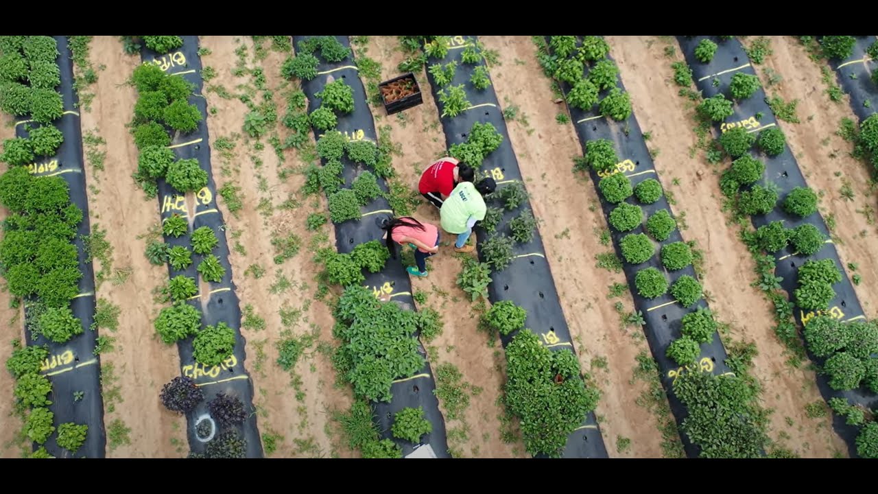 Fields of Devotion - Rutgers University