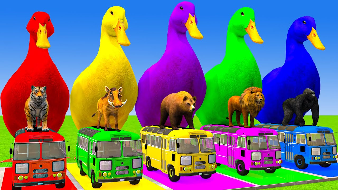 Long Slide Game With Cow Elephant Gorilla Hippopotamus Tiger 3d Animal Game Funny 3d Animals