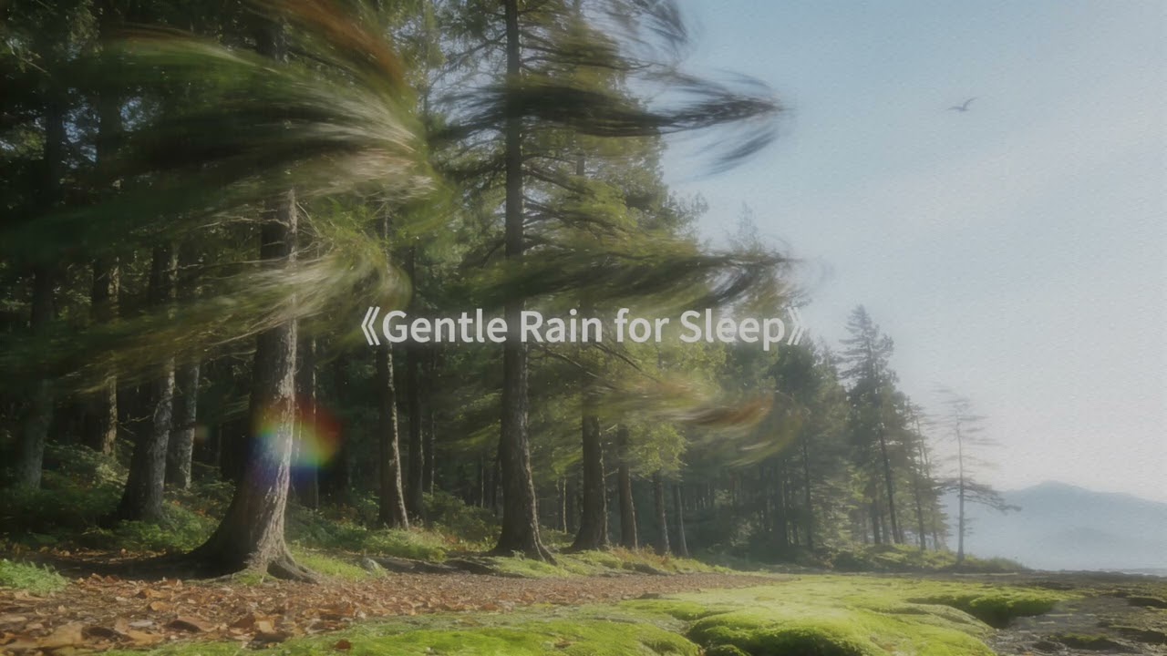 Gentle Rain for Sleep | Ultra-Steady Sleep for Light Sleepers