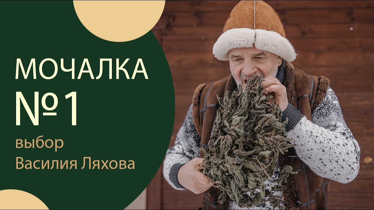 Целительный веник из 