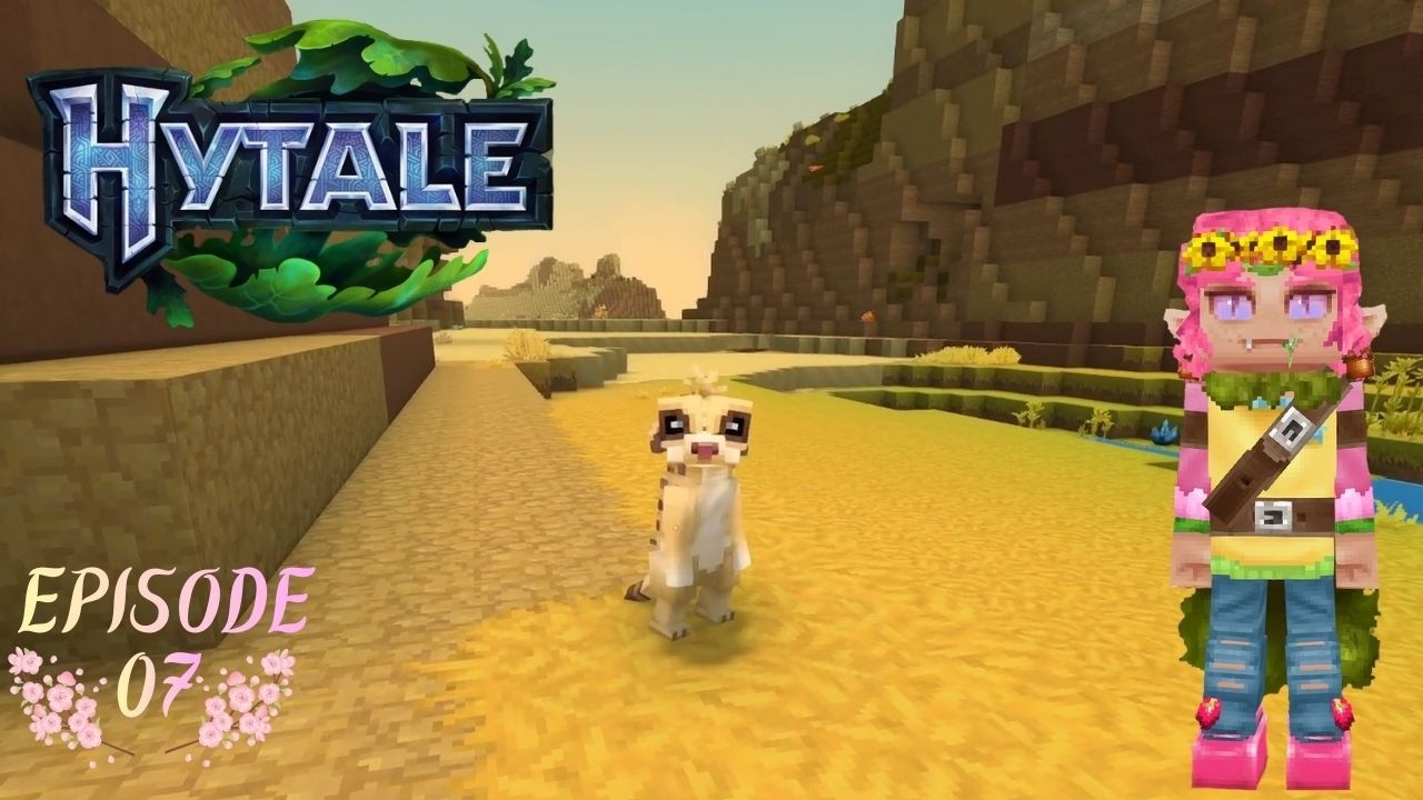 Back Into the Desert AGAIN and Dipped My Toes in the Hytale Ocean