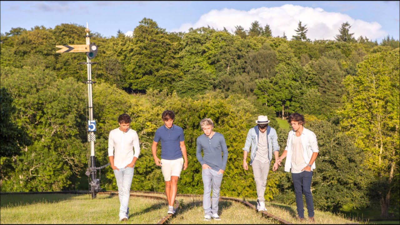 One Direction - Live While We're Young (acoustic)
