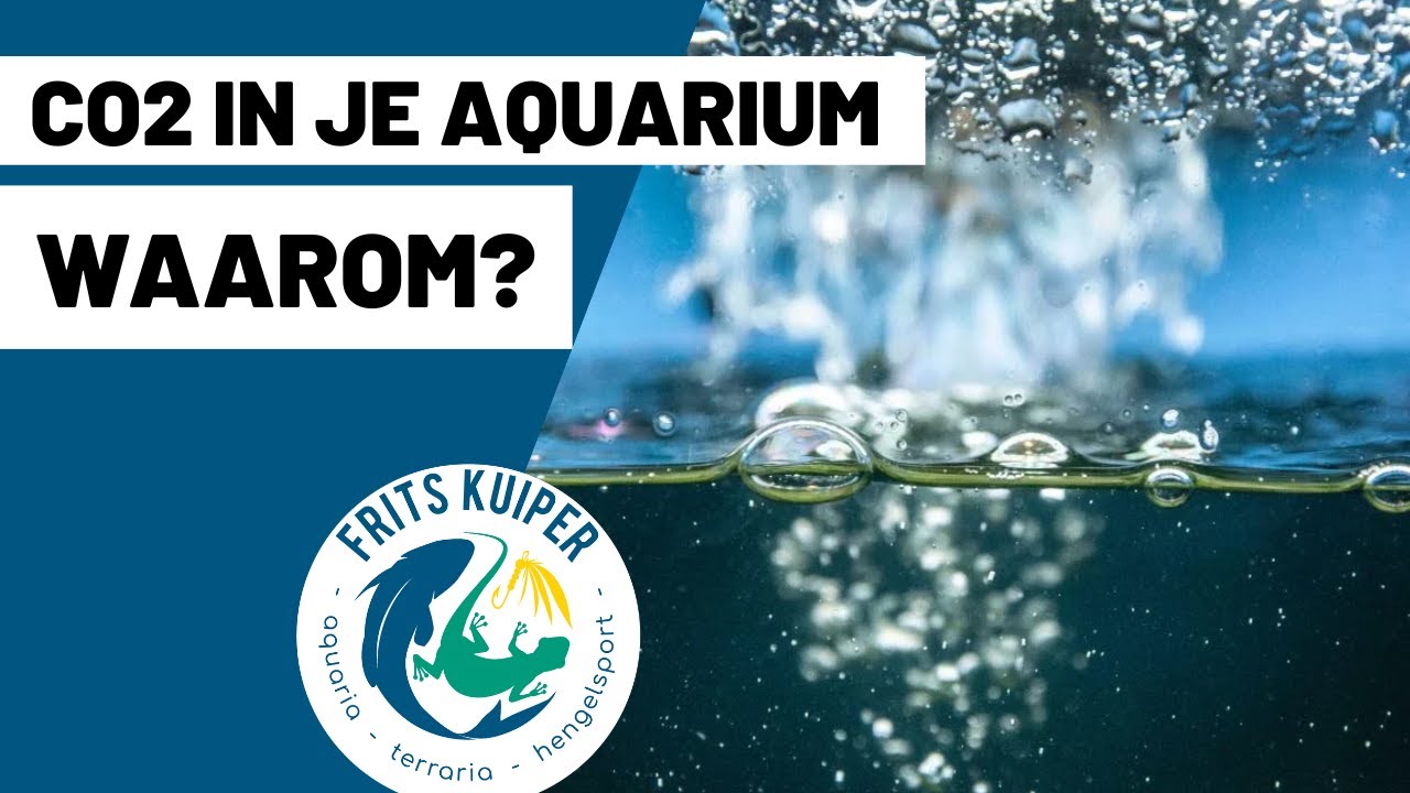 co2 in je aquarium