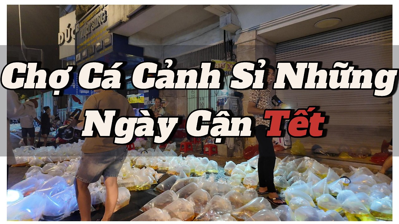 Đi Chợ Cá Cảnh Sỉ Cận Tết | Dân Buôn Tấp Nập Từ 3–4h Sáng #chocacanh #vlogchocacanh #khongkhiTet