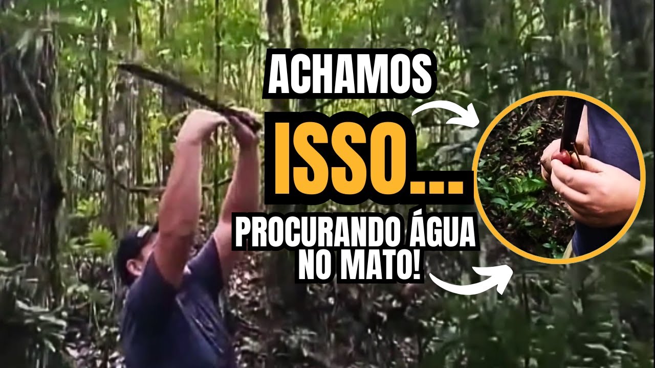 Entramos no mato em busca de água  para o sítio - Ep02
