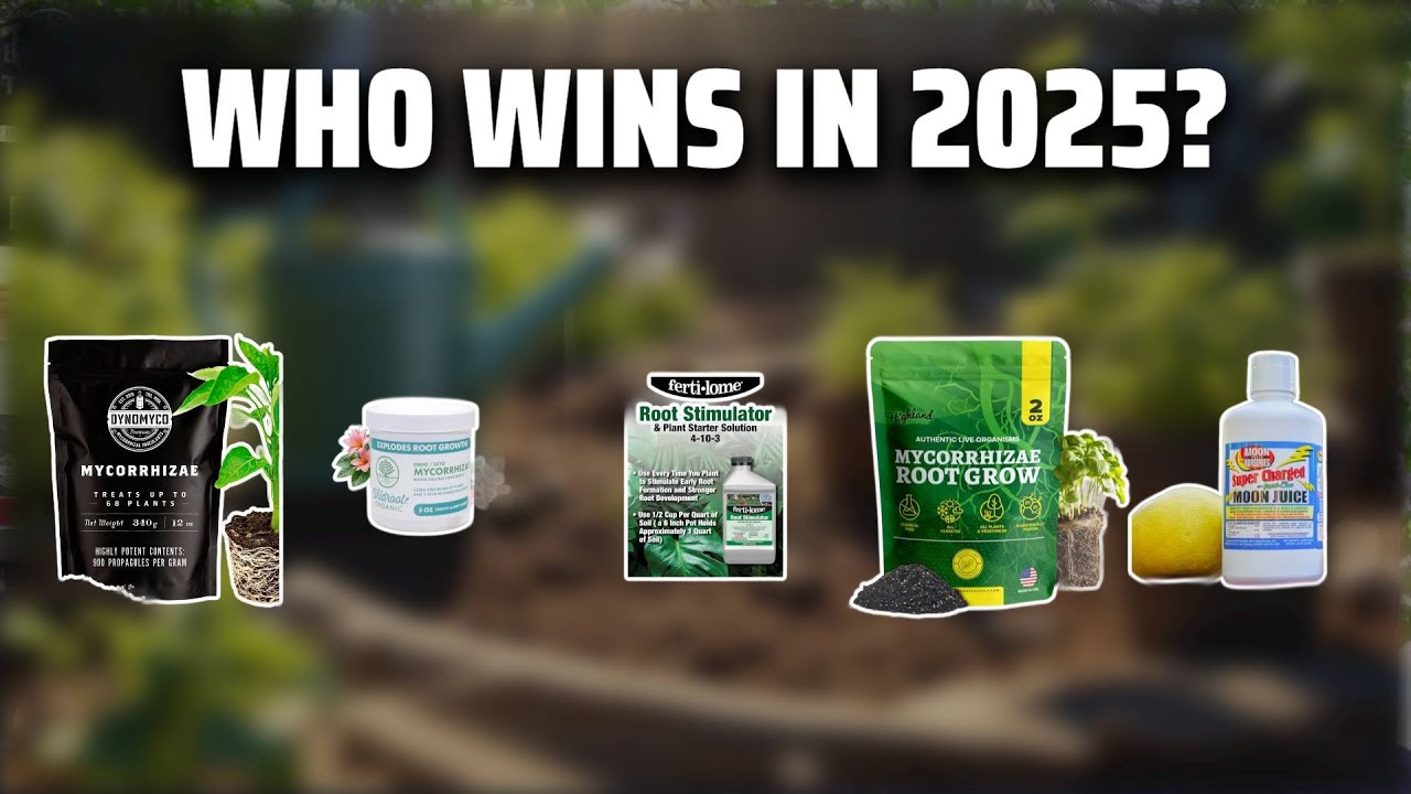 The Top 5 Best Root Stimulator in 2025 - Must Watch Before Buying!