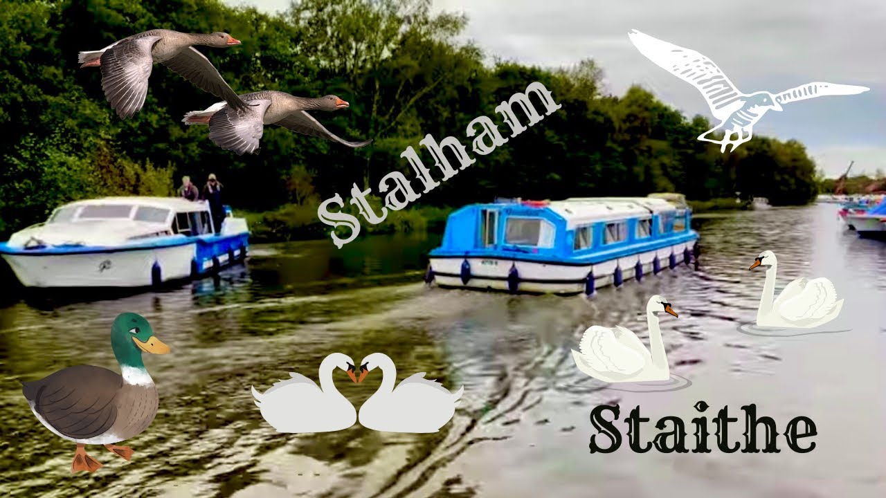 STALHAM STAITHE EXPLORED! 🚤🦆 | Boats & Wildlife | Norfolk Broads Holidays | WFA Explore