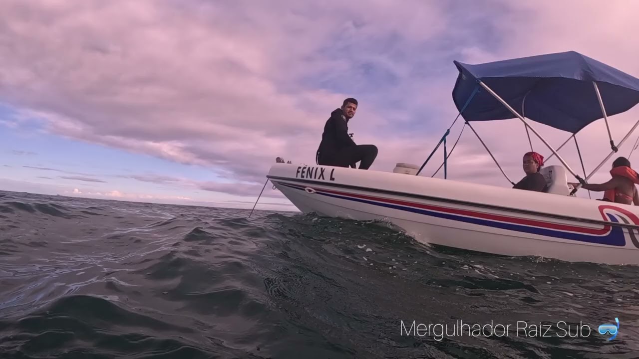Pesca Sub captura de sarda #fishing #pescasub #viral 
