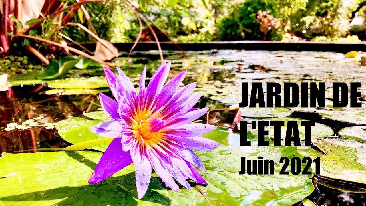 Le Jardin de l’État - Saint Denis de la Réunion 🇷🇪