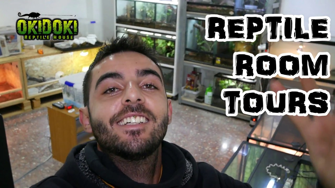 OKIDOKI REPTILE HOUSE - INTRO #1