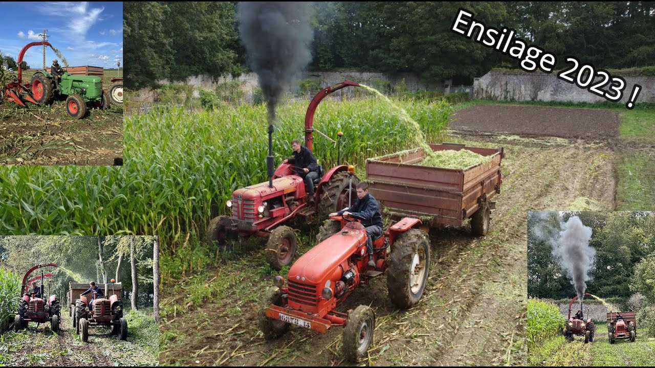 Ensilage à l'ancienne 2023 !