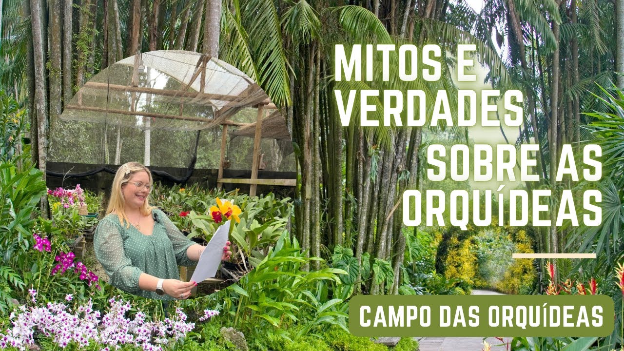 Você Acredita Nisso? Mitos e Verdades Sobre Orquídeas que Vão te Surpreender! 🌸😱