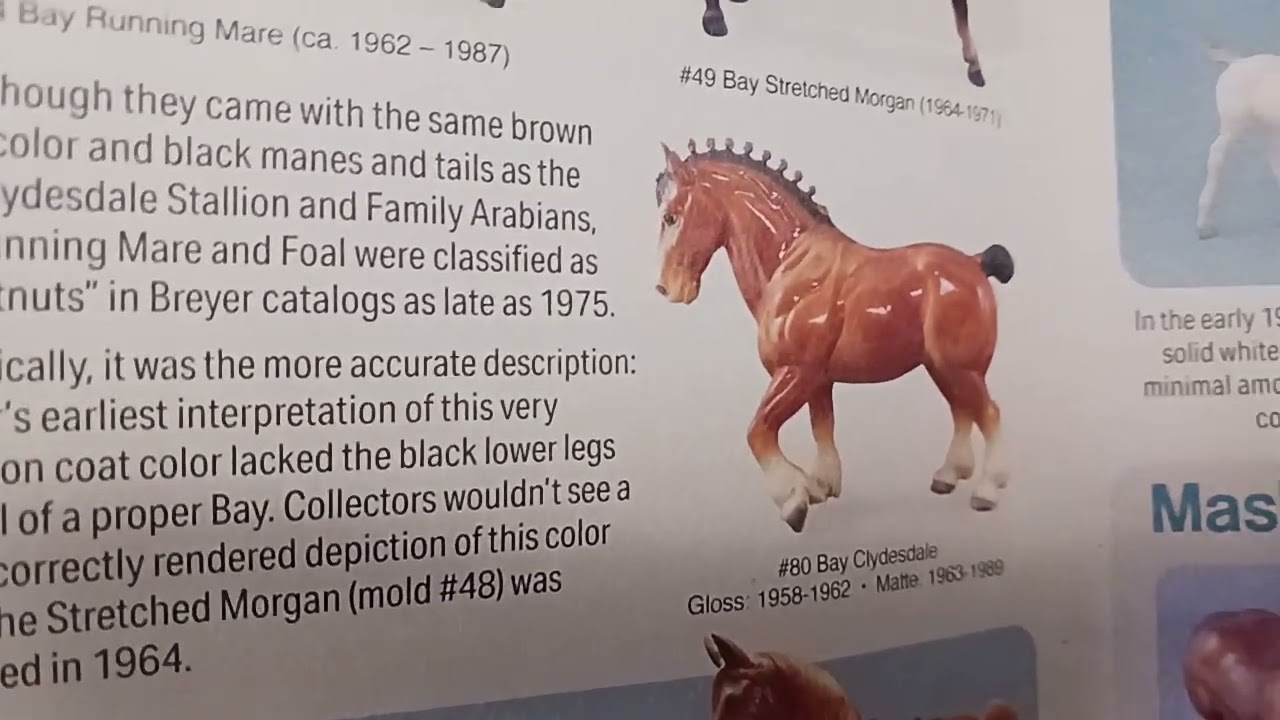 Breyer history club brochure no music this time lol