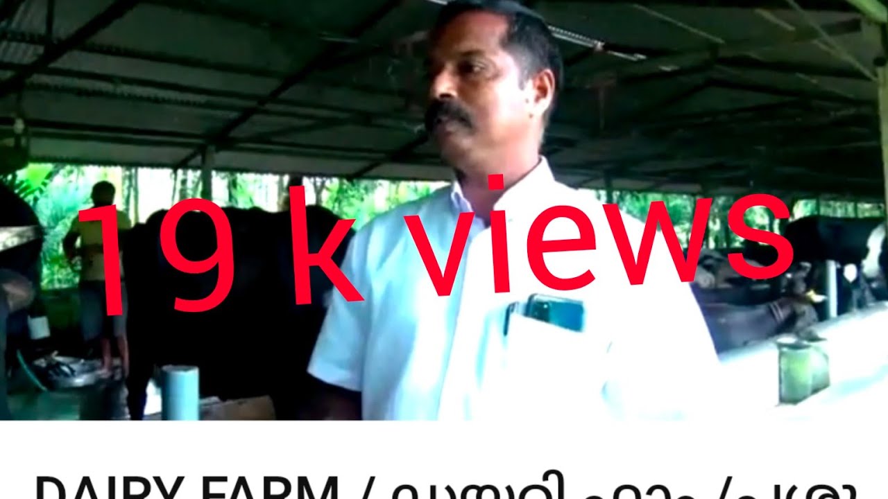 DAIRY FARM / ഡയറി ഫാം /പശു പരിപാലനം അറിയേണ്ടതെല്ലാം