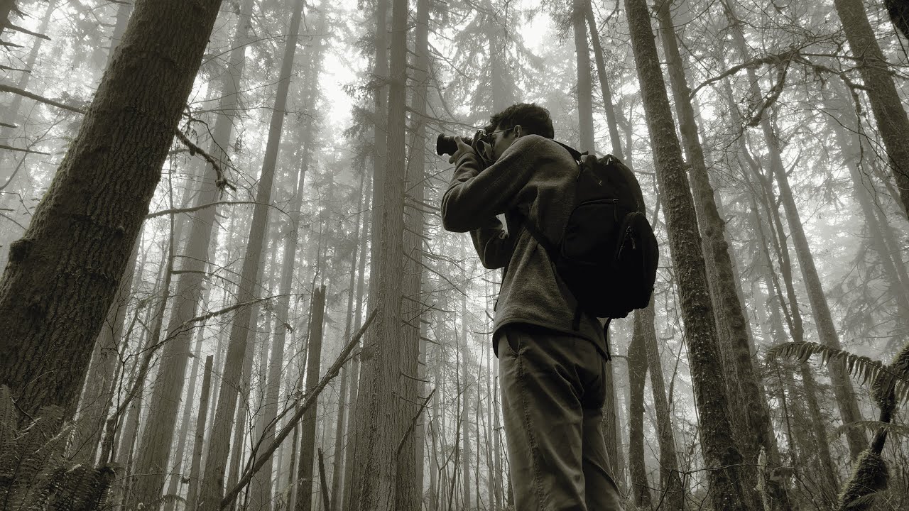 Landscape Photography and Trying To Find Wildlife