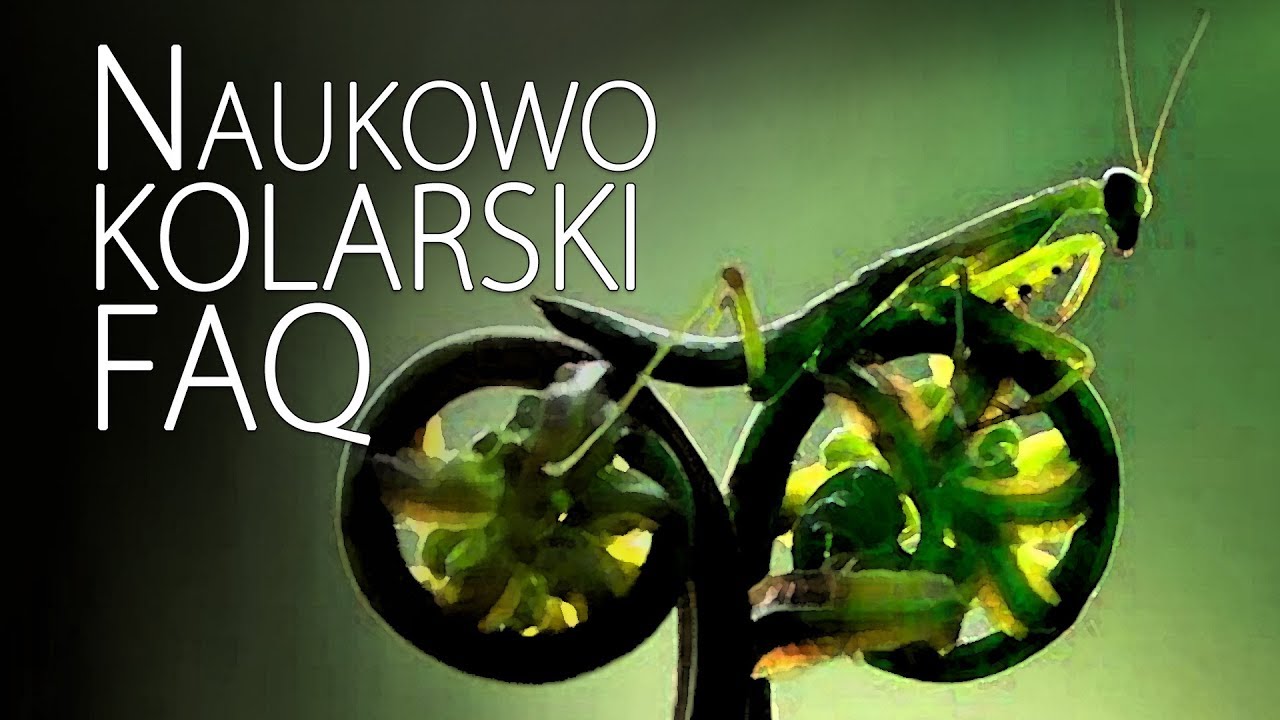 Naukowo-kolarski FAQ: o dopingu mechanicznym i pracy na lidera