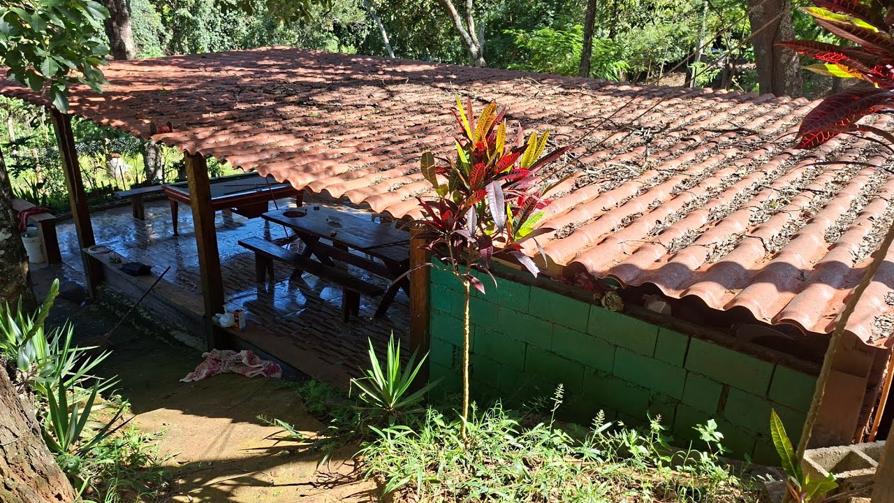 🦋💥📢tour pelo  chalé #roça #plantas #natureza #fazenda 