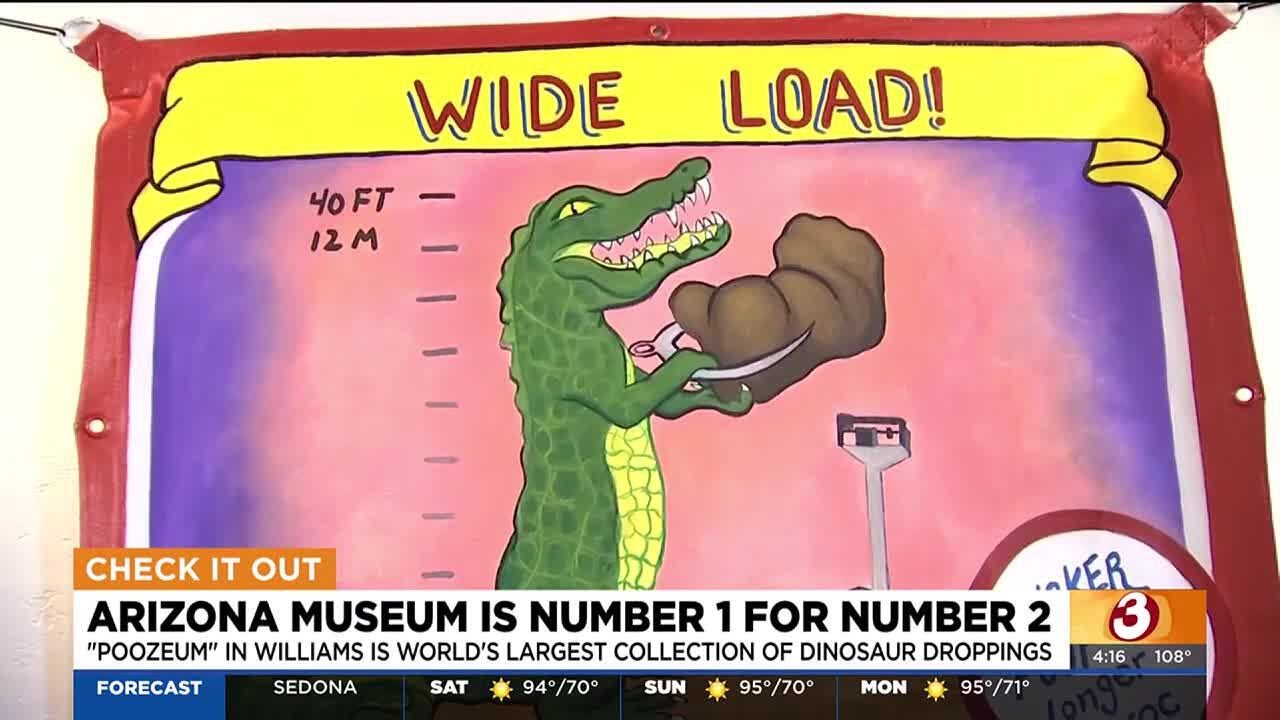 Have you visited the Arizona Museum of poo?