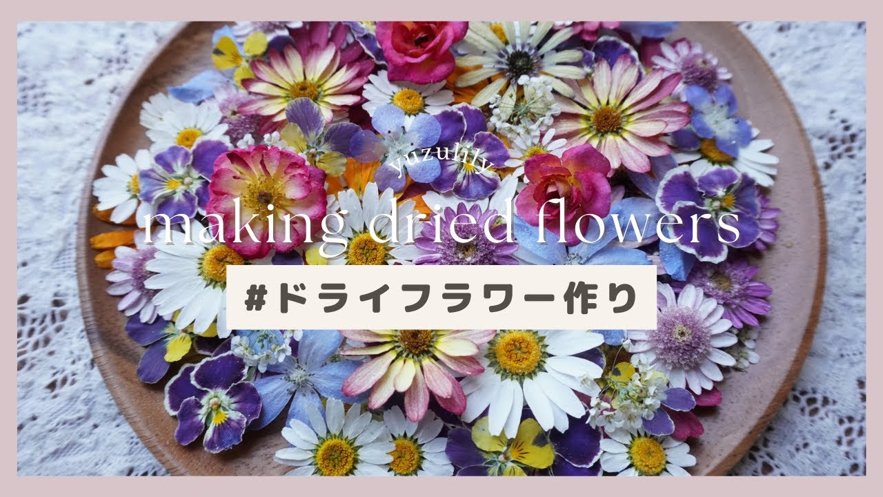 🌼綺麗なドライフラワーの作り方/Making beautiful dried flowers