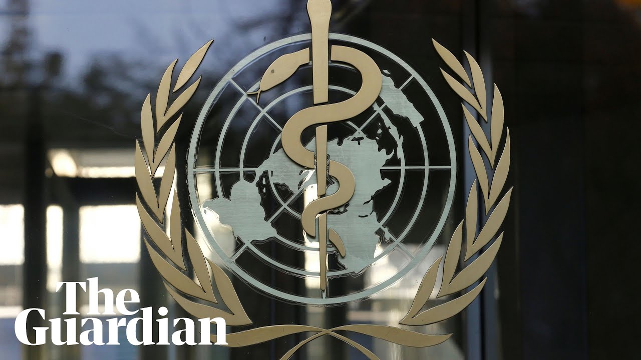 Coronavirus: WHO holds briefing on the global outbreak &ndash; watch live