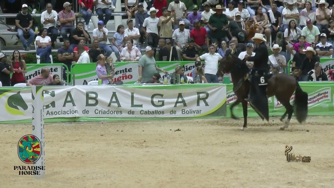 DIAMANTE DEL MUSICAL, CAMPEÓN JOVEN TROCHA COLOMBIANA EXPO ARJONA GRADO B 2026
