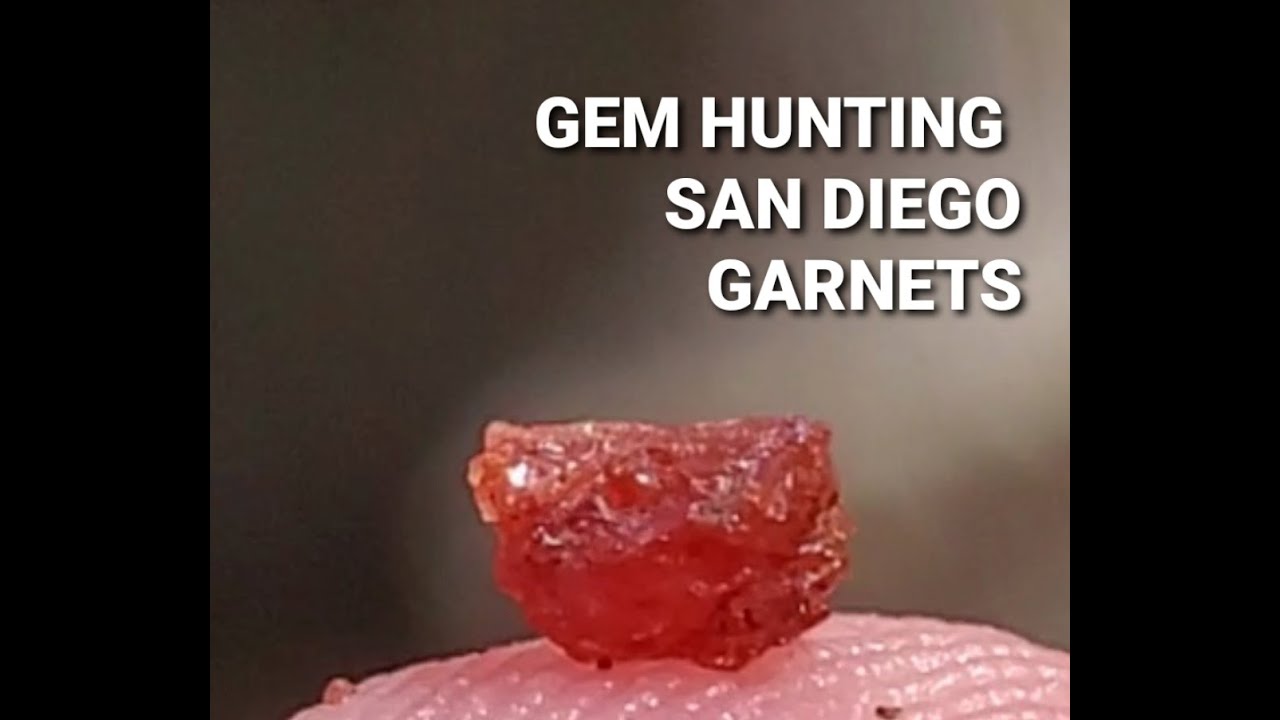 SD Banks Ep.3  Garnet Garden