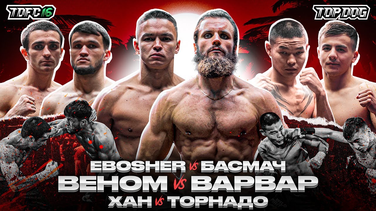 Колин Варвар &ndash; Веном, Хан &ndash; Торнадо, Ebosher &ndash; Басмач | TDFC 16