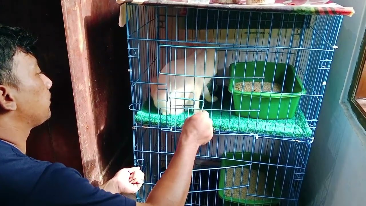 Habis ajak anabul main sekarang waktunya kasih makan‼️🤣🤣🤣
