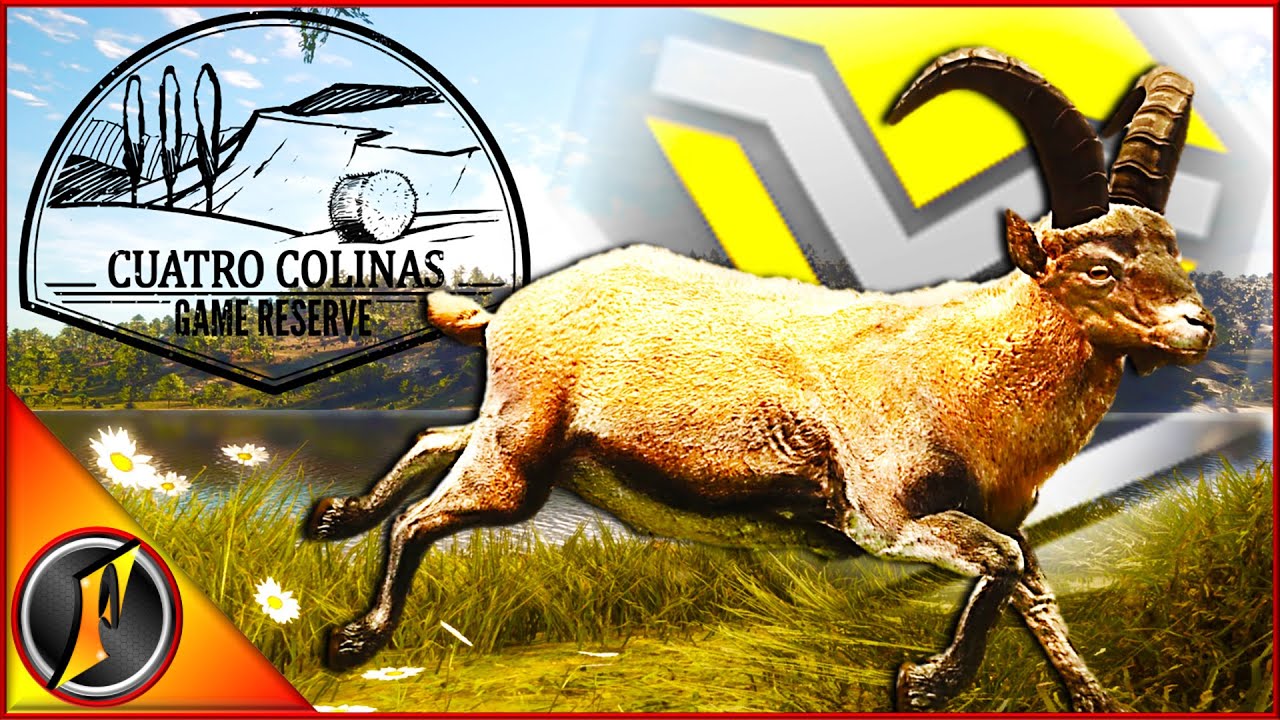 Making Our Grand Slam Even Better! | (Actual Level 5 Diamond SE Ibex)