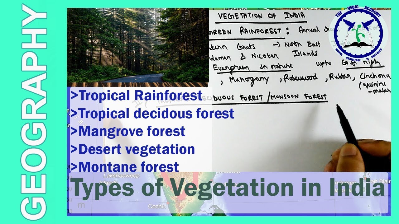 Types of Forest in India | Indian Geography | SSC CGL | by TVA