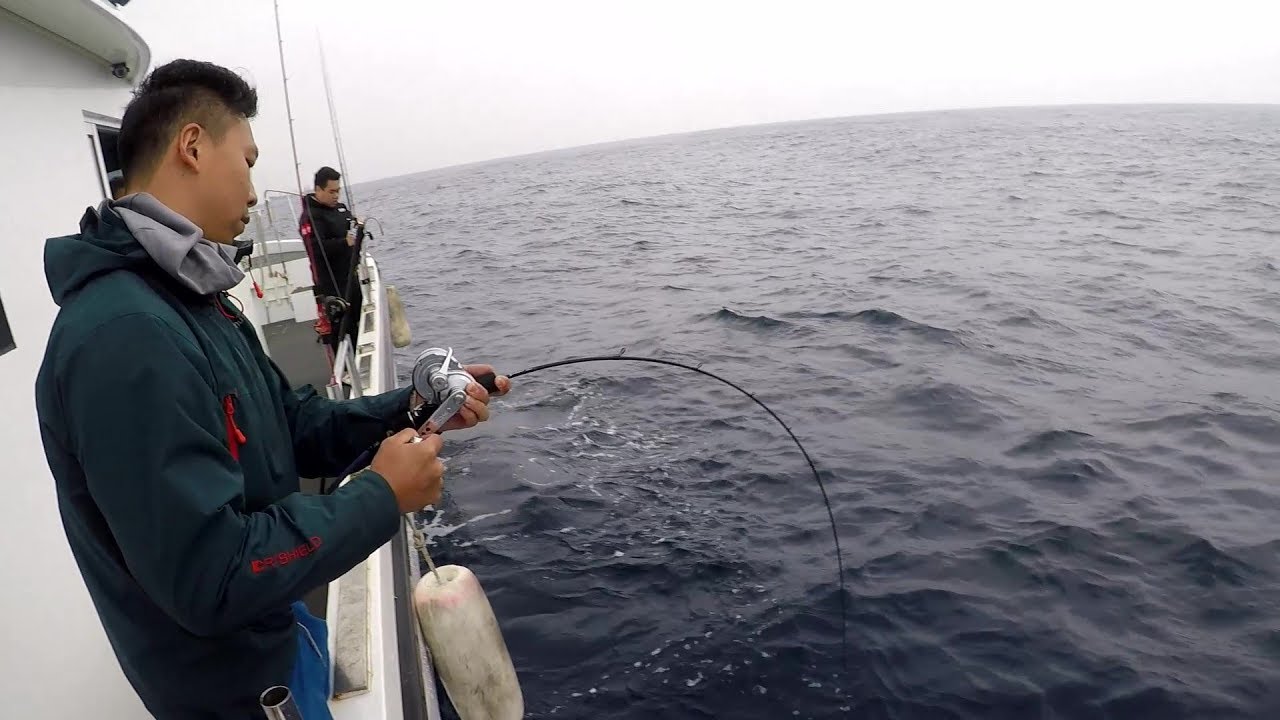 MOZ622LM 台灣收獲29lb章雄