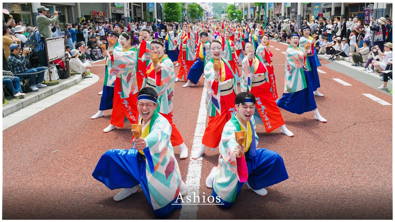 七福よさこい連祝禧 2025 「大盤振舞」 [湘南よさこい2025]