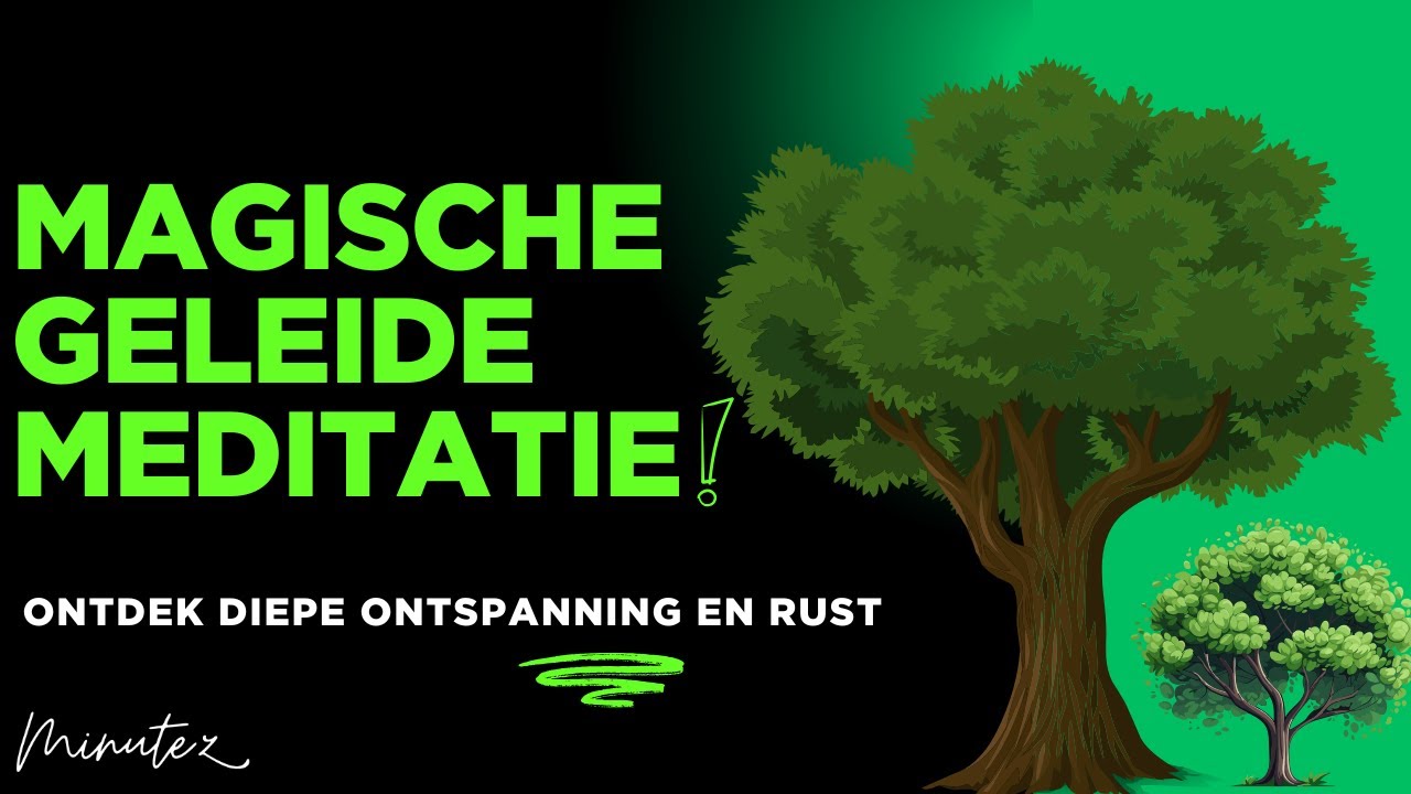 🌳🧘‍♂️Rustige Meditatie met Visualisatie: Wegdromen in het Bos