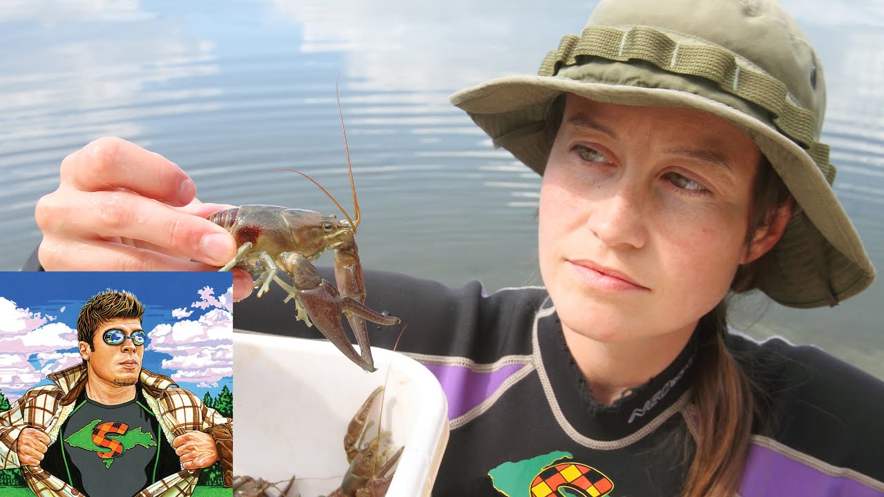 CASE #7 RUSTY CRAYFISH | SCIENCE EDUCATION | INVASIVE SPECIES
