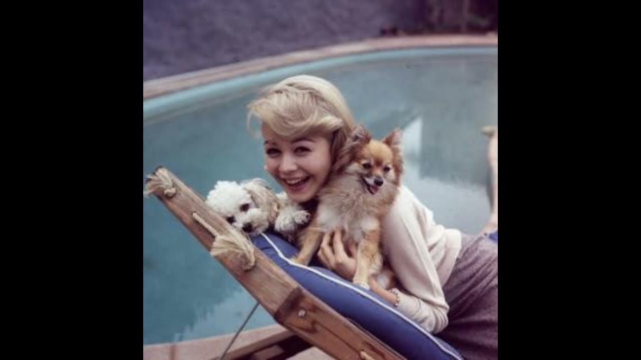 Sandra Dee, la triste storia della “ragazza della porta accanto” di Hollywood