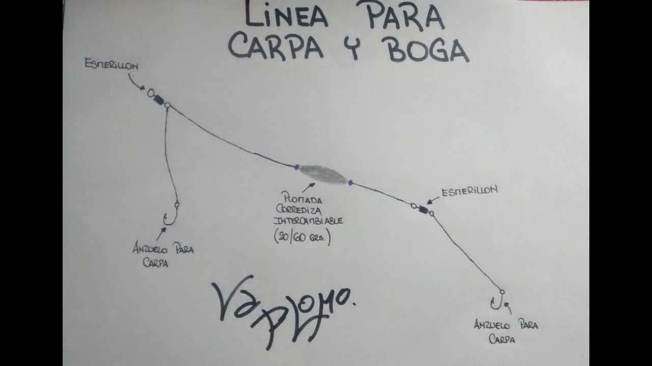 Linea para Carpa y Boga | Line for Carp Fishing