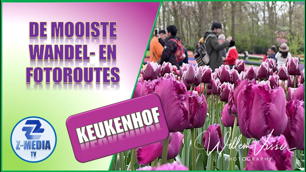 De Keukenhof: 7 miljoen schitterende bloemen en tulpen van Nederland (4K)