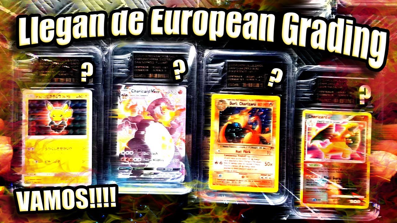 llegadita de european grading¡¡ vamos¡!
